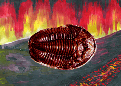 Trilobit-Fossil vor Feuerwand
